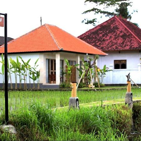 Padi Guest House Keramas Ngoại thất bức ảnh